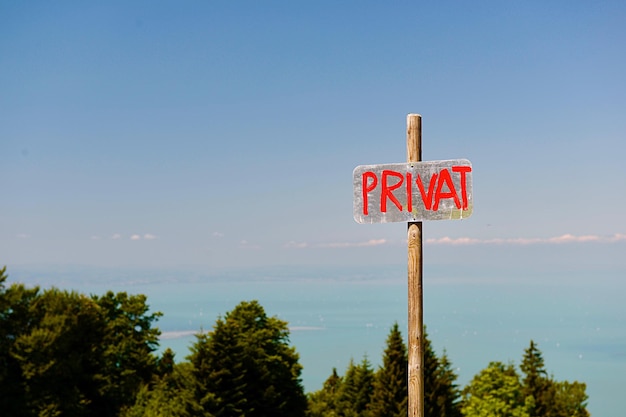 Dochód za granicą jaki PIT należy wybrać?