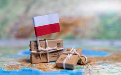 Nowy polski ład co to oznacza dla zwykłych podatników?