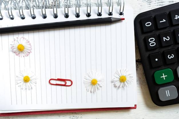 Jak zrobić bilans roczny w swojej firmie?