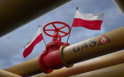 Polski ład dla kogo jest korzystny?